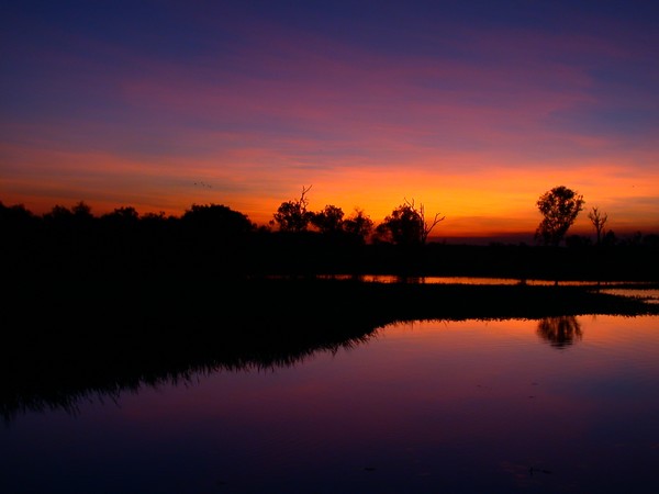 Yellow Waters Billabong (sunset)